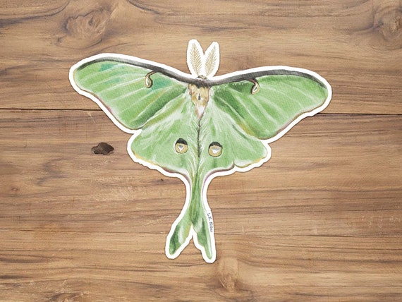 Luna Moth Sticker