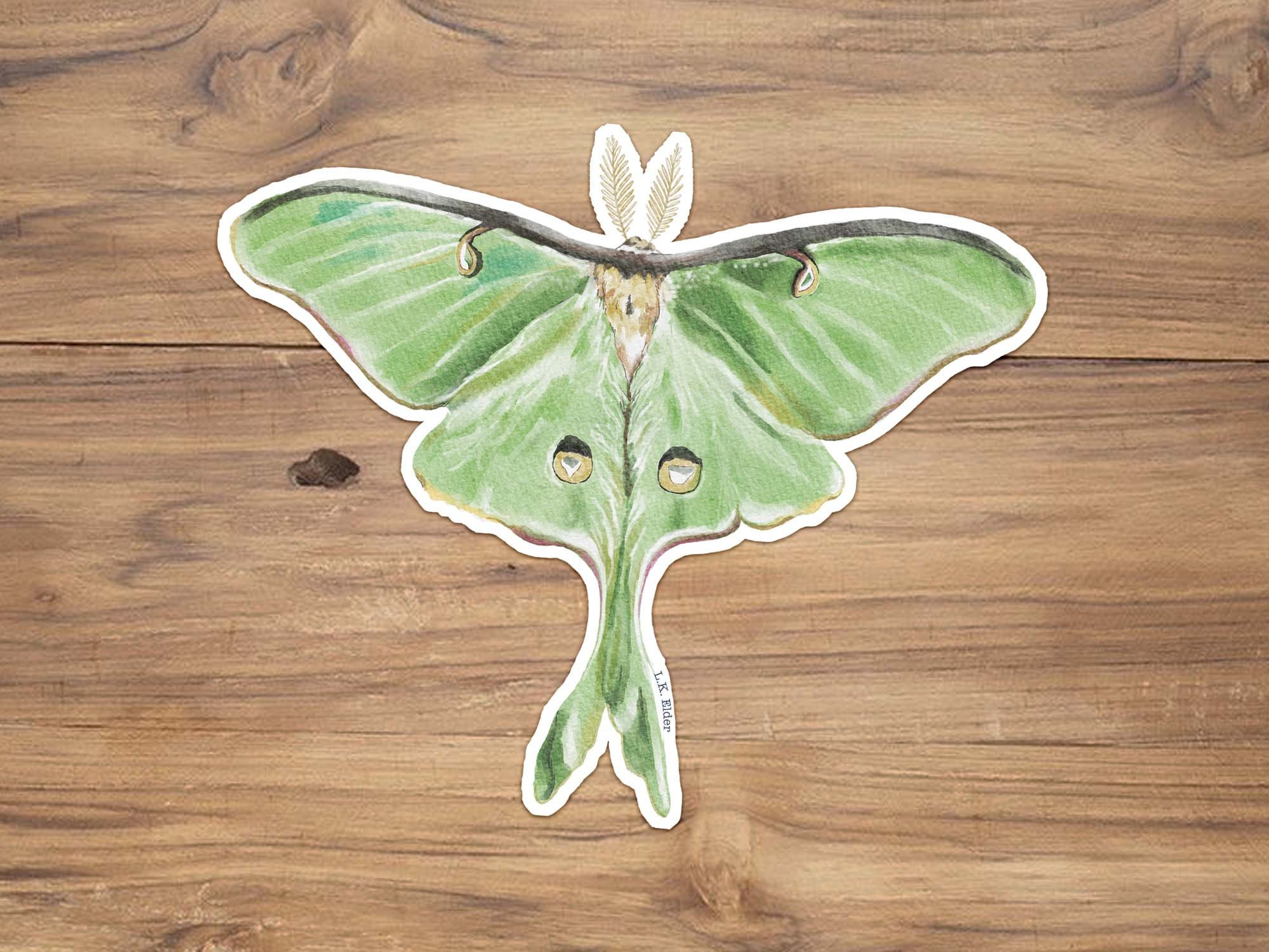 Moth Stickers for Scrapbook, Animal Aesthetic Stickers, 50pcs Colorful Cartoon Moth Stickers, Waterproof Vinyl Stickers Bulk for Water Bottles