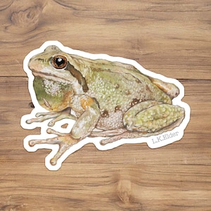 May include: A green and brown frog with a white background. The frog is sitting on its hind legs with its front legs outstretched. The frog has a large, round eye and a small mouth. The frog is surrounded by a white border. The artist's signature, L.K. Elder, is in the bottom right corner.