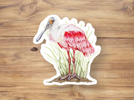 Watercolor Roseate Spoonbill Vinyl Sticker: Florida Wildlife