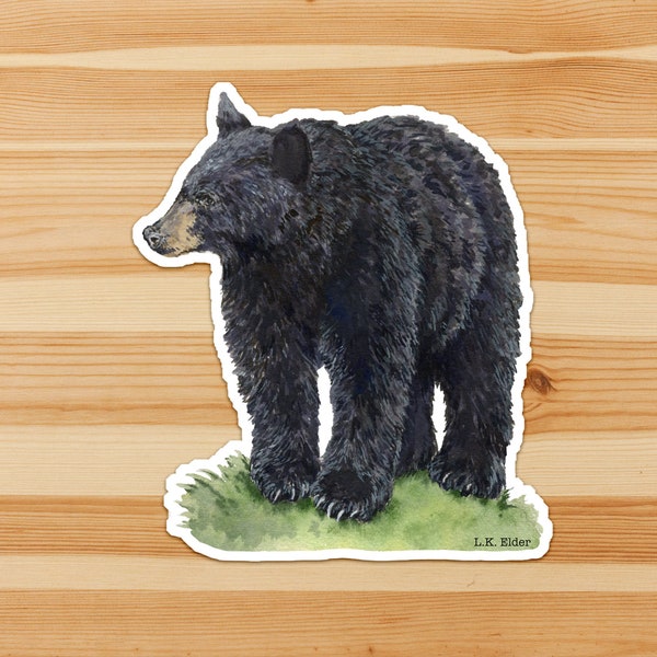 Black Bear Sticker, Bear sticker, Wildlife Sticker, Black Bear Watercolor Art, New Mexico Stickers, Colorado Stickers, Montana Stickers