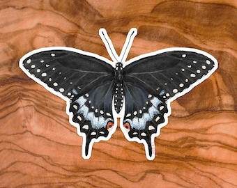 black swallowtail sticker, swallowtail sticker, swallowtail butterfly sticker, butterfly sticker, butterfly water bottle sticker,