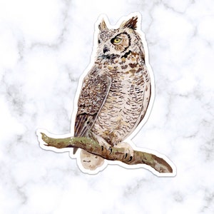 Owl Sticker, Owl watercolor, Great-horned owl sticker, Cute Owl sticker, Nature Stickers, Wildlife Stickers, Bird Sticker