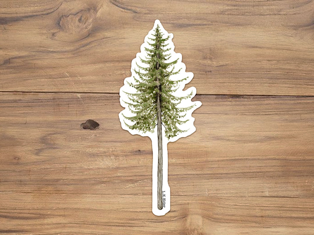 Coast Douglas Fir Tree Sticker: Handmade Vinyl Illustration - Etsy
