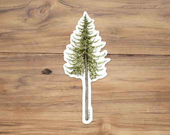 Peut inclure: Une illustration aquarelle d'un grand arbre à feuilles persistantes vert avec un tronc brun. L'arbre est sur un fond en bois.