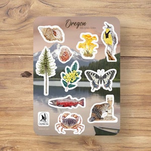 Oregon stickers, Oregon state symbols, PNW stickers, Coastal Stickers, seashell sticker, chinook salmon sticker, Oregon Gifts,
