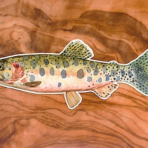 Puede incluir: Una pintura de acuarela de una trucha marrón con manchas negras sobre un fondo de madera.