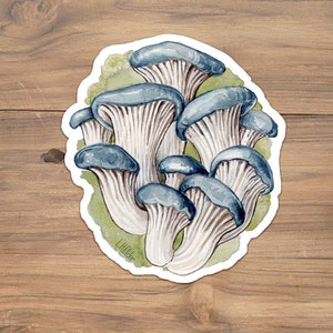 Watercolor Blue Oyster Mushroom Sticker: Glossy or Matte Vinyl
