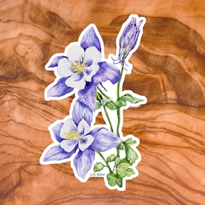 Columbine Sticker, Colorado Columbine Sticker, Colorado Sticker, Wildflower Sticker, Blue Columbine Sticker, Colorado flowers sticker