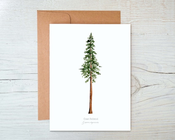 Packed Your Trunks Housewarming Card Packed Your Trunks Housewarming Card