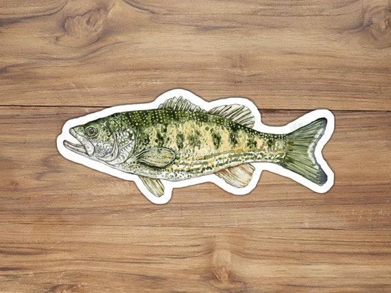 Guadalupe Bass Sticker, Bass Fish Sticker, Fishing Art, Texas Sticker,  Camping Sticker, Outdoorsman Gift, Gift for Fisherman, Fishing Gift 
