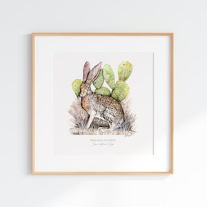 Black-tailed Jackrabbit Watercolor Print: Desert Wildlife Art