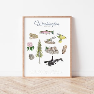 May include: A white poster with the word "Washington" in blue cursive lettering and a list of state symbols. The symbols include a Pacific Tree Frog, a Chinook Salmon, a Western Yellow-billed Cuckoo, a Western Hemlock, a Roosevelt Elk, a Mountain Goat, a Western Red Cedar, a Pink Flower, a Western Painted Turtle, a Western Gray Squirrel, a Douglas Fir, and an Orca.