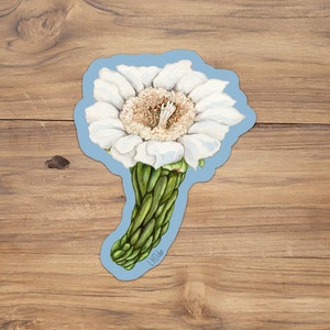 Watercolor Saguaro Blossom Sticker: Arizona Cactus Flower Vinyl Decal