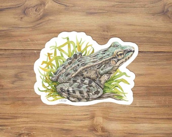 Southern Leopard frog sticker, leopard frog vinyl, watercolor frog, herpetology art, herpetology sticker, wildlife illustration, frog gift