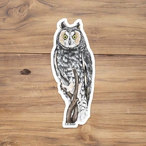 Long-eared owl sticker, realistic owl sticker, owl vinyl sticker, owl drawing sticker, bird stickers, bird watcher gift