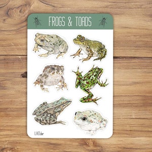 Frogs sticker sheet, Toad sticker sheet, Toad Vinyl sticker, Frog Vinyl Sticker, Bull frog sticker, Frog sticker set, Wildlife sticker sheet