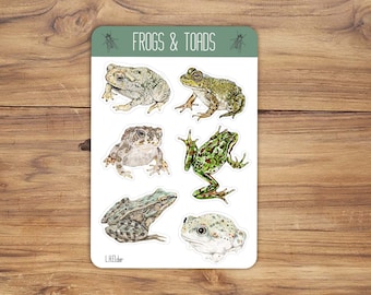 Glossy Frogs and Toads Sticker Sheet: Frog vinyl sticker, Toad vinyl stickers