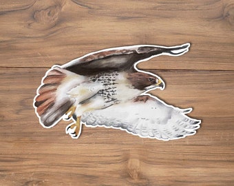 Red-tailed hawk Sticker, Falcon Sticker, Hawk Sticker, Flying Bird Sticker, Wildlife Stickers,