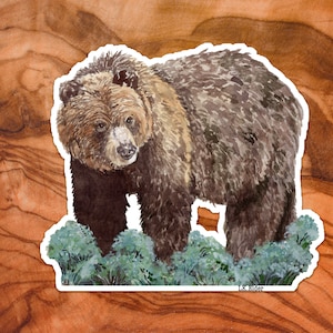 Watercolor Grizzly Bear Sticker: Laminated Vinyl Wildlife Art