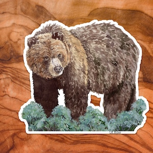 Grizzly Bear Sticker, Grizzly Sticker, Wildlife Sticker, Watercolor Grizzly, California Sticker, Montana Sticker, Alaska Sticker,