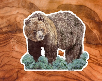 Sticker aquarel grizzlybeer: illustratie grizzlybeer