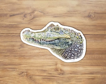Watercolor Alligator Vinyl Sticker: Florida Wildlife Art