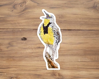 Western Meadowlark Vinyl Sticker, Oregon Vinyl Sticker, Meadowlark Illustration, state bird stickers, bird lover sticker, bird watcher gift