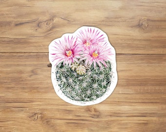 Adesivo de vinil aquarela com cacto Spinystar: decoração de deserto