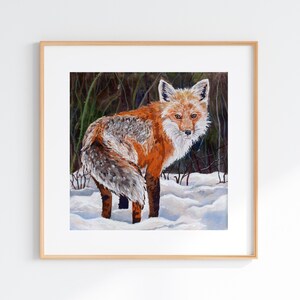 Red Fox Giclee Print, Red Fox gouache Illustration, Red Fox in snow Print, Natural Scientific Illustrations, Red fox gouache painting