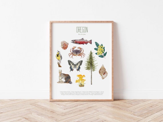 Oregon State Symbols Art Print: Flora & Fauna Typology