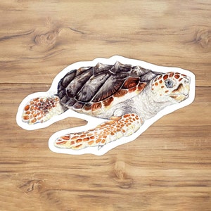 May include: A watercolor illustration of a sea turtle with a brown and orange shell. The turtle is swimming with its head and flippers visible. The background is a light brown wood grain.