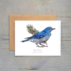 mountain bluebird notecard, mountain bluebird greeting card, bird notecards, mountain bluebird card, bluebird Blank Card,