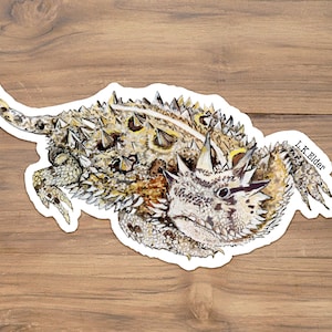 Texas Horned Lizard Sticker: Gouache Illustration Vinyl Decal