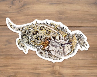 Texas Horned Lizard Sticker, Horny Toad Sticker, Horned toad sticker, Texas horned toad sticker, Texas stickers, Horned Lizard Illustration,