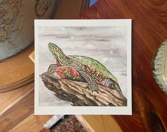 Western Painted Turtle painting, western painted turtle illustration, turtle painting, wildlife illustration, painted turtle print,