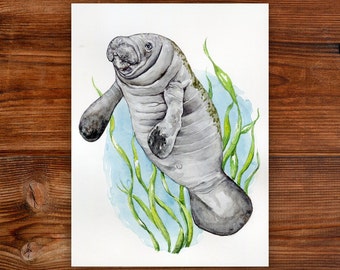 Watercolor Manatee Painting: Natural Science Illustration, Florida Art