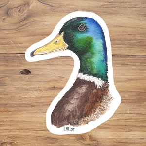 Watercolor Mallard Duck Vinyl Sticker: Wildlife Illustration