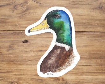 Mallard duck Sticker, Mallard duck illustration, Mallard duck Vinyl, Watercolor duck, Wildlife stickers, bird lover gift, mallard sticker