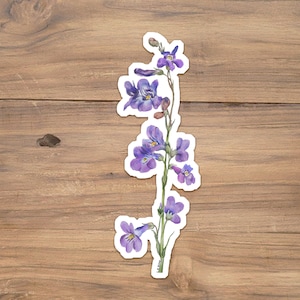Sidebells Penstemon Vinyl Sticker: Purple Wildflower Illustration