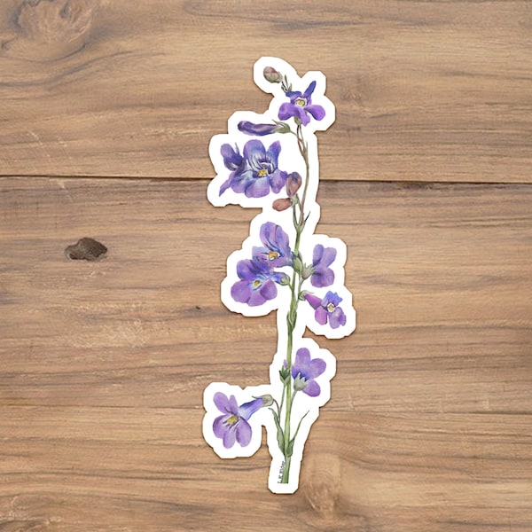 Penstemon Vinyl Sticker, Wildflower Sticker, Purple wildflower sticker, Colorado Wildflowers, New Mexico Sticker, Penstemon Illustration