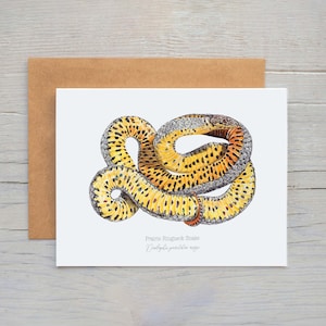Cartão de saudação de cobra Ringneck da pradaria, cartões de nota em branco da vida selvagem, cartões de cobra Ringneck, cartão de felicitações do Arizona, cartão em branco de cobra Ringneck
