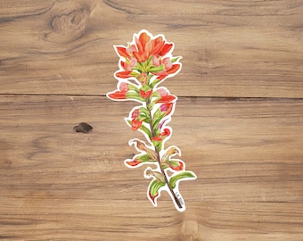 indian paintbrush sticker, desert flowers sticker, Wildflower Sticker, prairie fire sticker, painted lady sticker, plant sticker