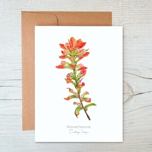Indian Paintbrush Grußkarte, Wildblumen Grußkarte, Indian Paintbrush Karte, Indian Paintbrush Illustration, Botanische Blanko Karte,