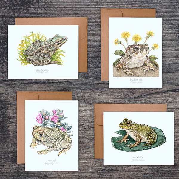 Frog Notecard Set, Toads notecard set, Frog and toad greeting card, Frogs card set, wildlife greeting card, frog blank card, toad blank card