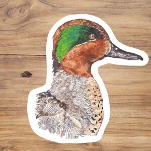 Green-Winged Teal Duck Sticker: Watercolor Bird Illustration