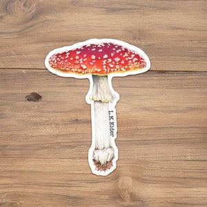 Fly agaric sticker, Red mushroom sticker, Amanita sticker, Fly Agaric illustration, Watercolor Amanita, Watercolor mushroom,