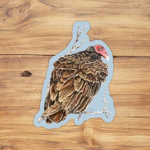 Turkey Vulture Sticker, Vulture Sticker, Buzzard Stickers, Carrion Sticker, Bird Sticker, Watercolor Birds,