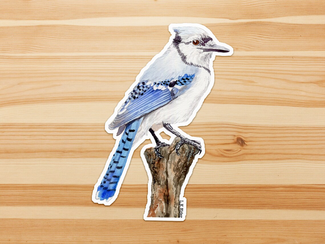 Blue Jay Sticker Jay Sticker Blue Bird Sticker Bird Etsy UK