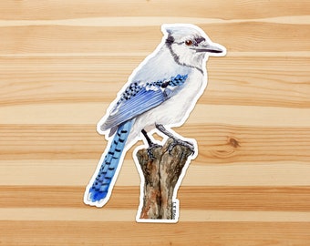 Blue Jay Sticker: Watercolor Bird Art, Vinyl Decal